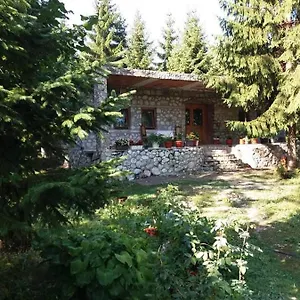 https://guest-house-hyrmet-demushi.albaniahotels.org